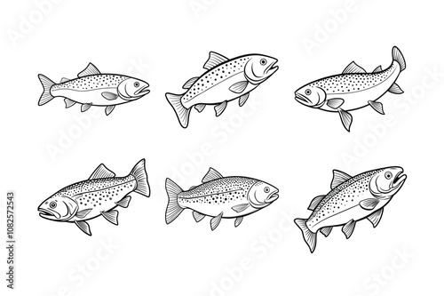 trout fish design, labeled line art vector silhouette illustration.