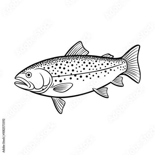 trout fish design, labeled line art vector silhouette illustration.