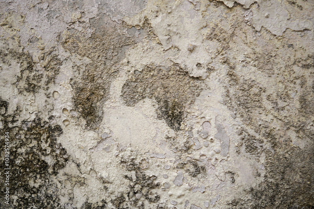 Rough Texture of an Old Wall Rough Texture of an Old Wall