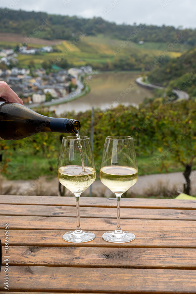 Obraz premium Glasses of white dry riesling wine made on Moselle river valley in Germany or Luxembourg, view on terraced vineyards