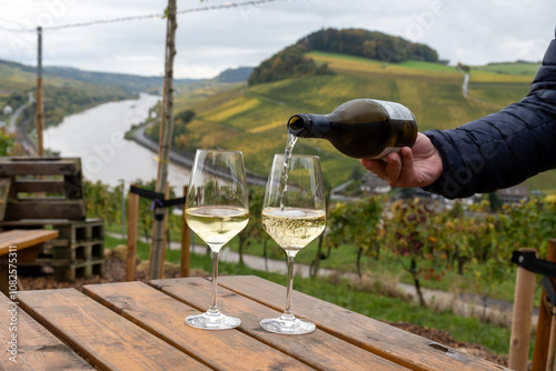 Canvastavla Pouring in glasses of white dry riesling wine made on Moselle river valley in Ge