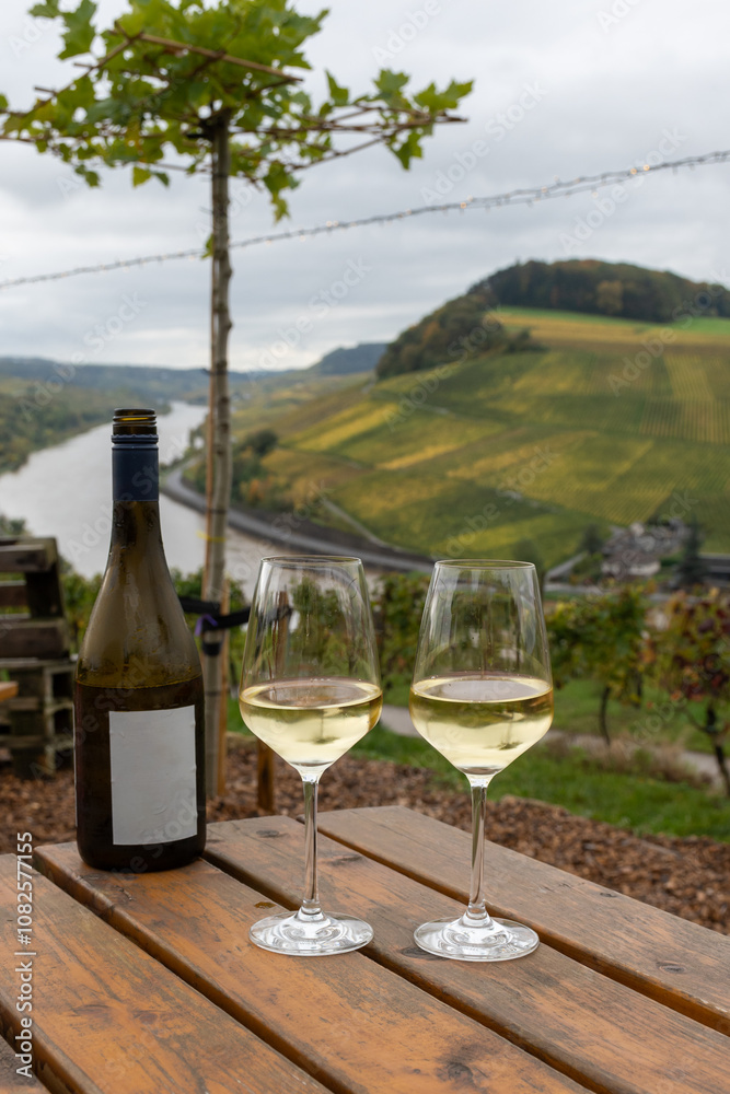 Glasses of white dry riesling wine made on Moselle river valley in Germany or Luxembourg, view on terraced vineyards Glasses of white dry riesling wine made on Moselle river valley in Germany or Luxembourg, view on terraced vineyards