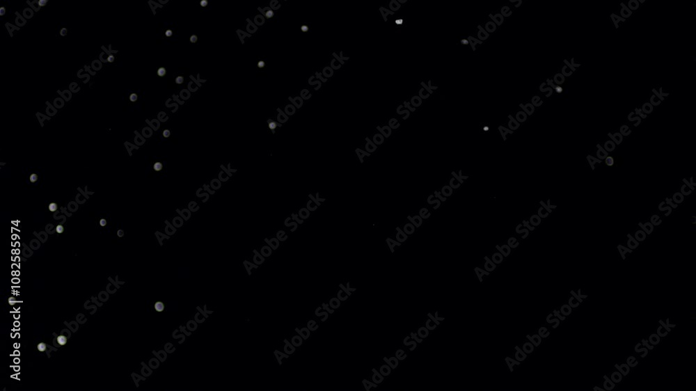 A dense heavy blizzard snowstorm VFX insert in slow-motion on black screen. Black screen Christmas snowstorm. Particles swirling moved by wind. Snow is moving through space. Snowstorm on black. A dense heavy blizzard snowstorm VFX insert in slow-motion on black screen. Black screen Christmas snowstorm. Particles swirling moved by wind. Snow is moving through space. Snowstorm on black.
