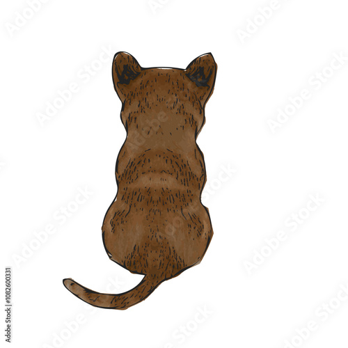 Corgi puppy dog animal vector ilustration isolated design 