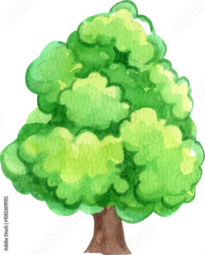 Hand-drawn middle tree watercolor illustration