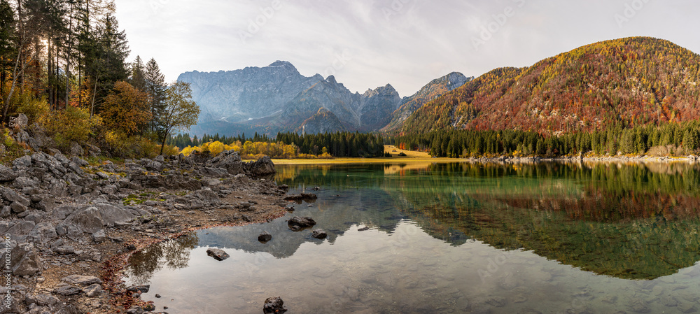 Foliage in the woods of Julian Alps