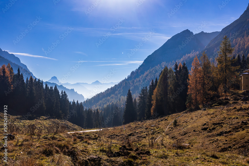 Autumn colors are exploding in the woods of Carnic Alps