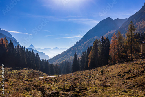 Obraz na płótnie Autumn colors are exploding in the woods of Carnic Alps w salonie
