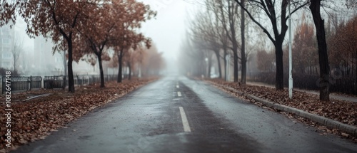 Wallpaper Mural A misty road lined with autumn trees fades into the foggy distance, capturing quiet solitude and the mystery of a journey into the unknown. Torontodigital.ca