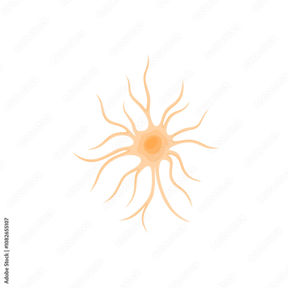 Vector illustration of Astrocyte Vector illustration of Astrocyte