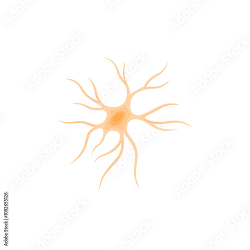 Vector illustration of Astrocyte