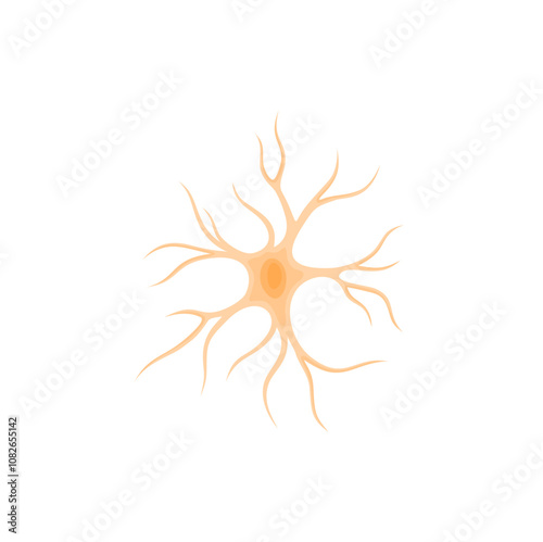 Vector illustration of Astrocyte