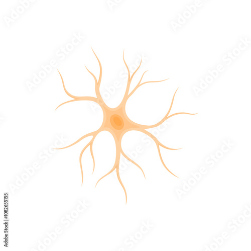 Vector illustration of Astrocyte