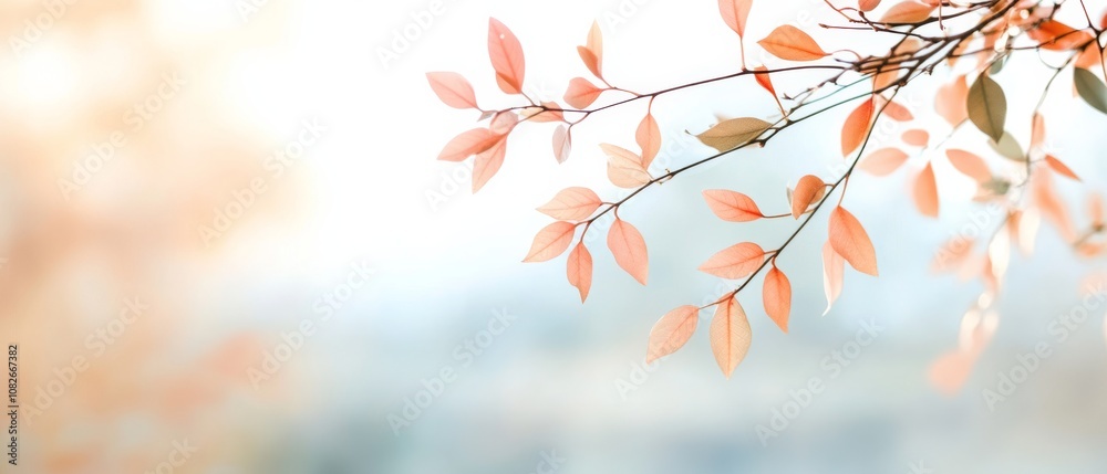 Pastel leaves dance against a soft focus backdrop, embodying the gentle and ephemeral beauty of autumn's transition. Pastel leaves dance against a soft focus backdrop, embodying the gentle and ephemeral beauty of autumn's transition.