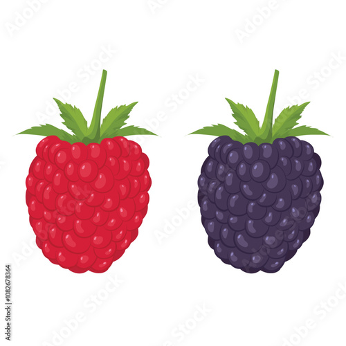 Berry illustrator vector
