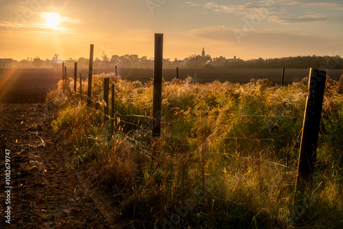 The autumn sun illuminating the fields