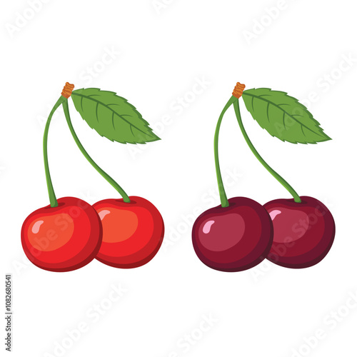Cherry illustrator vector