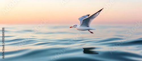 A graceful seagull glides effortlessly over tranquil waters under the soft hues of a setting sun, capturing a serene moment of freedom and natural beauty.