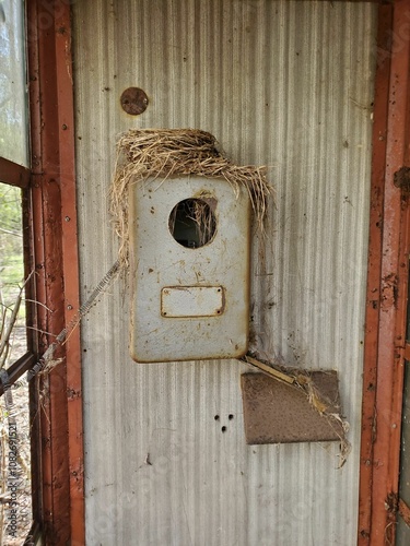 Chornobyl Zone