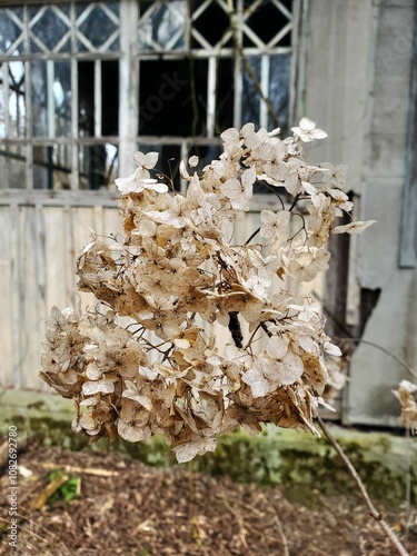 Chornobyl. Prypiat. Chornobyl Nuclear Power Plant photo