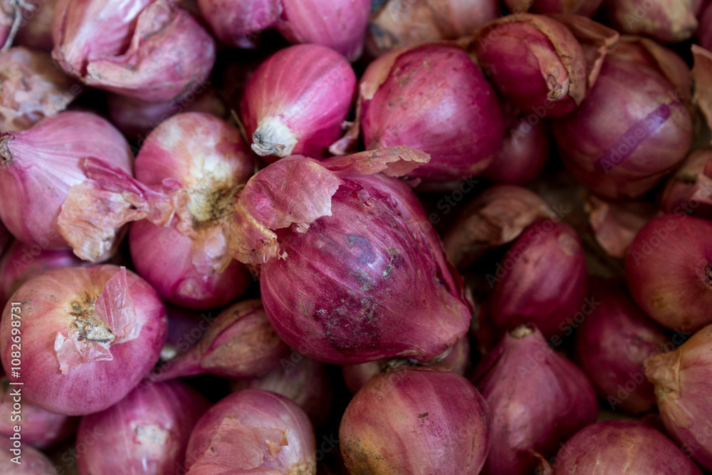 Shallots (Allium ascalonicum) are a member of the allium family, closely related to onions, garlic, and chives. Shallots (Allium ascalonicum) are a member of the allium family, closely related to onions, garlic, and chives.