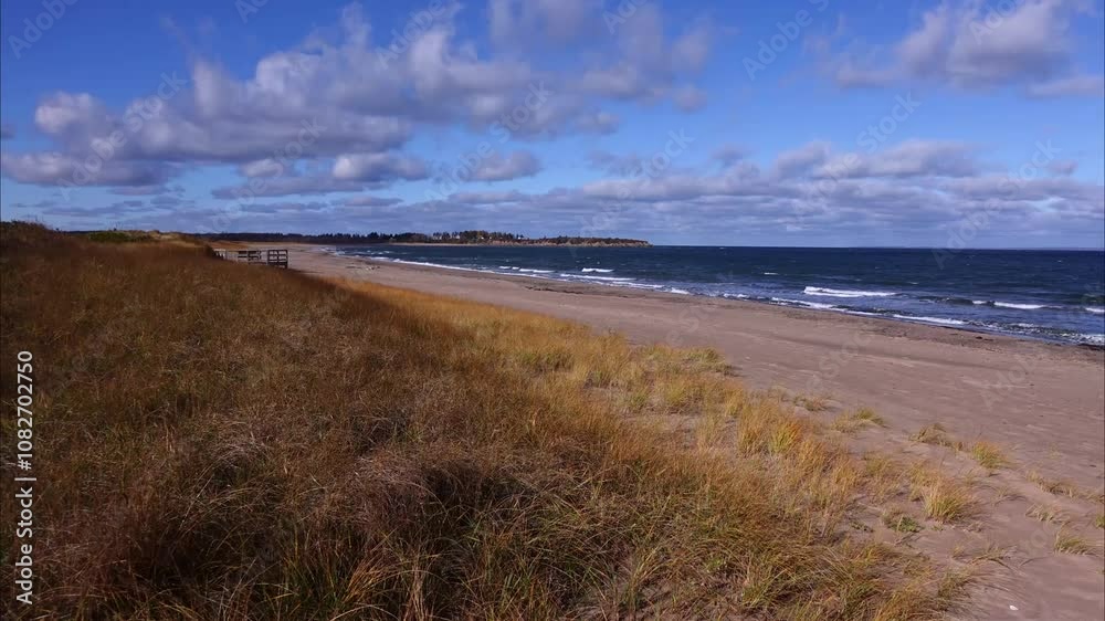 Time lapse of sandy beach in Nova Scotia with cloud movement, cloud shadows, waves and beach grass wind movement. Time lapse of sandy beach in Nova Scotia with cloud movement, cloud shadows, waves and beach grass wind movement.