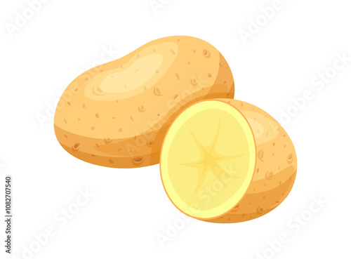 Fresh potatoes in cartoon style. Vector illustration of delicious potato: whole and half isolated on white background. Peeled and unpeeled potatoes. Healthy food. Vegetables. Harvest. Root crops.