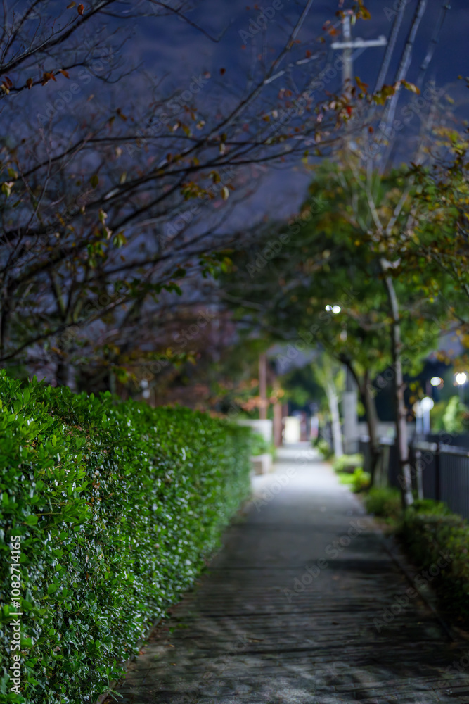 誰もいない夜の路地裏の風景 誰もいない夜の路地裏の風景