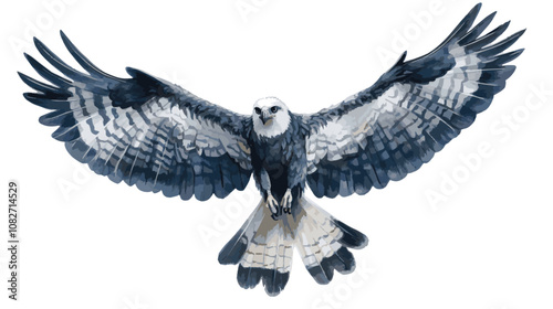 eagle with wings