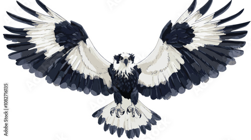 eagle wings isolated on white