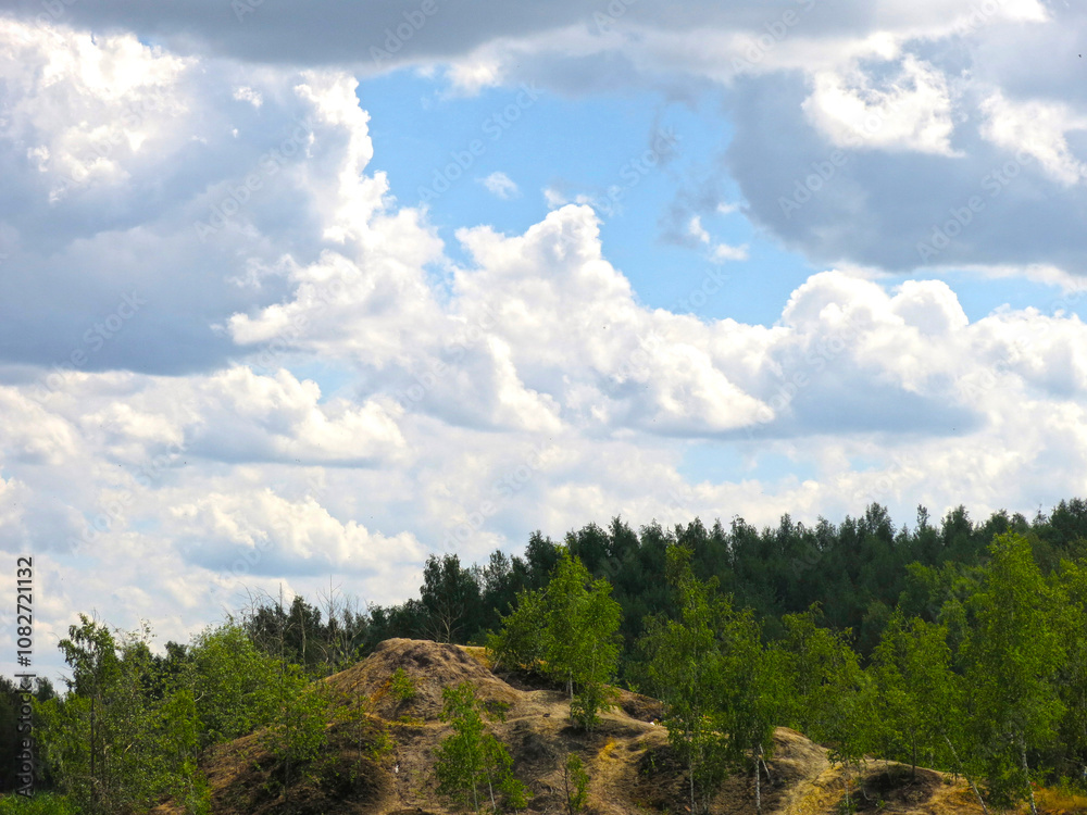 banks of the summer river are overgrown with trees