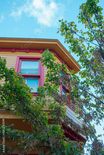 Old Houses in Uskudar Neighbourhood Istanbul Turkey