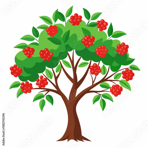 rowan tree vector illustration