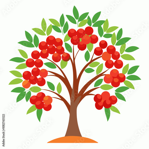 rowan tree vector illustration