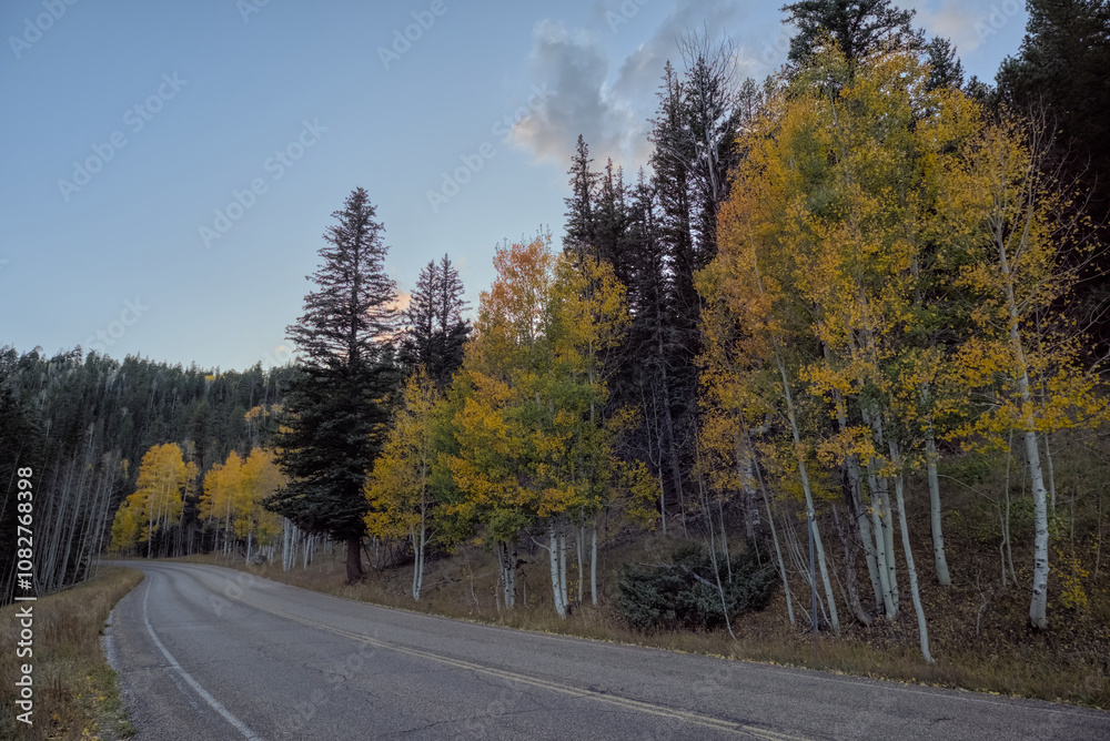 Fototapeta premium Fall Colors along Arizona State Route 67 in Grand Canyon