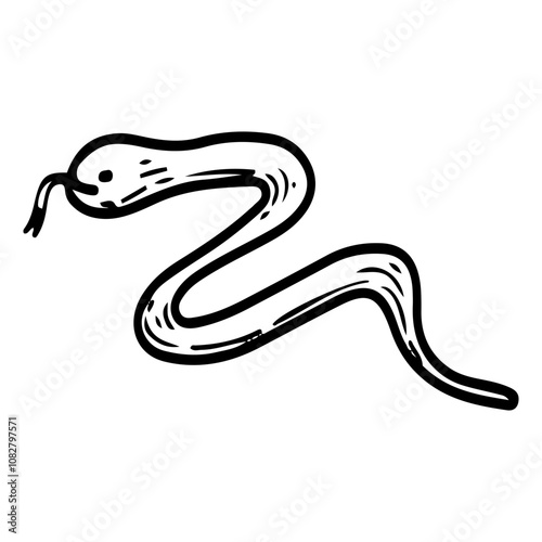 Snake hand drawn doodle. Wildlife animal. Dangerous snake. Poisonous viper. Vector line art illustration.