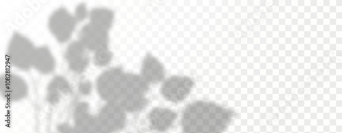 Glare from the sun's rays on the wall. Blurred shadows from leaves and plants in the room. Soft overlay of natural light. Abstract background for product 