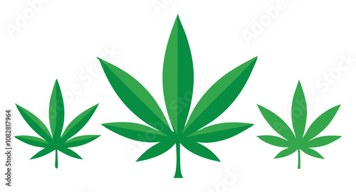 cannabis leaf isolated on white, marijuana leaf vector, ganja illustration