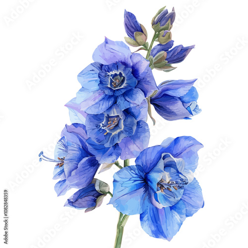 A watercolor vector of Delphinium flower, isolated on a white background. Delphinium vector.