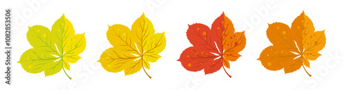 Autumn chestnut leaves yellow red and orange - vector illustration