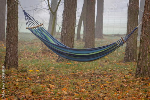 hanging hammock in the middle of the forest on a foggy autumn morning. agritourism for people who want to relax from the city. a natural place to rest in the forest.