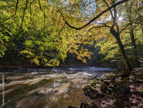 Romantic rivers - Metuje, Czech republic photo