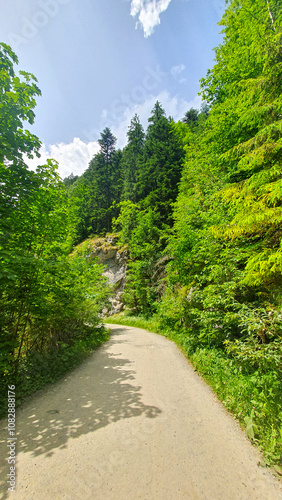 Rock's Valley Ravine. Valea Stanciului, Rachitele, Cluj photo