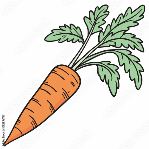 carrots and carrot