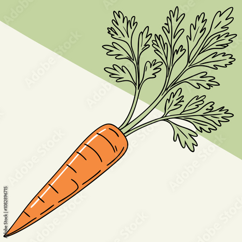 carrot on a green background