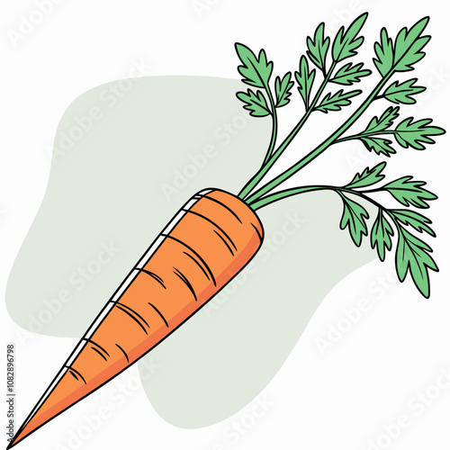 carrots and carrot