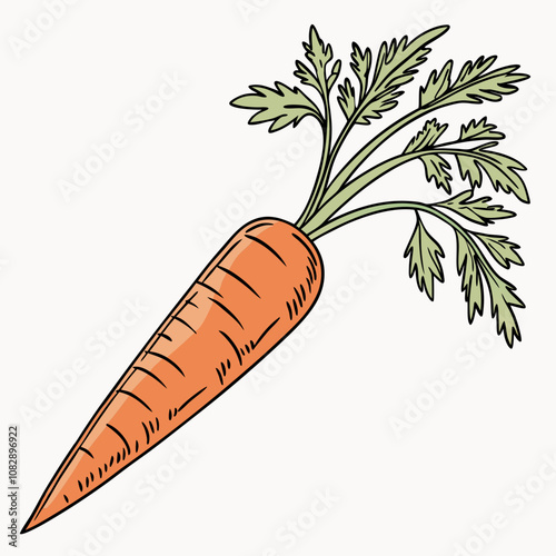carrots and carrot