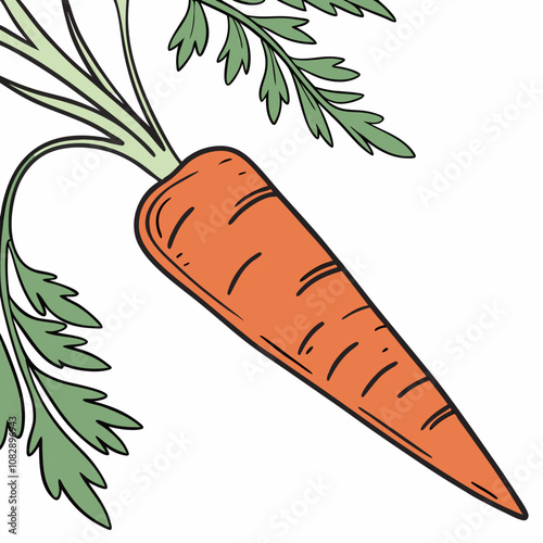 set of carrots