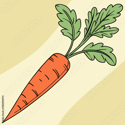 illustration of a carrot