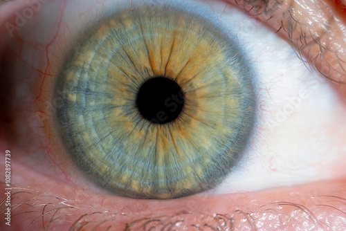 A stunning macro close-up of a human eye featuring a vibrant green iris blended with striking yellow tones. The intricate details and natural texture create a captivating visual...